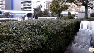 5秒懂!55h3CCA片 1_日本AV